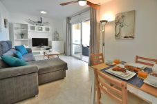 Apartment in Calpe / Calp - Alq 093 Apartamento Rubino
